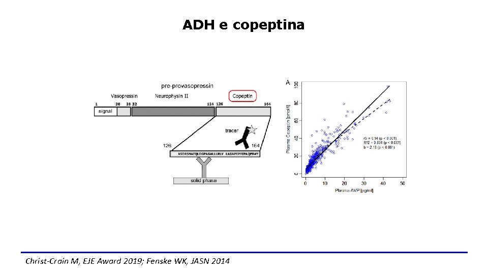 ADH e copeptina Christ-Crain M, EJE Award 2019; Fenske WK, JASN 2014 