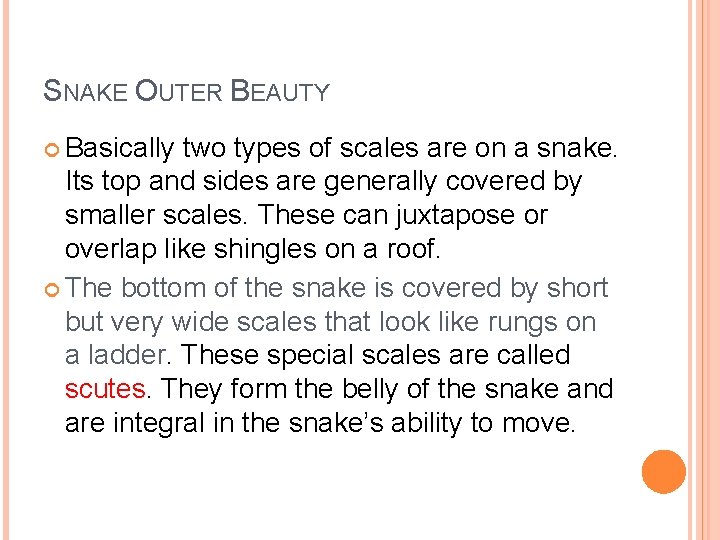 SNAKE OUTER BEAUTY Basically two types of scales are on a snake. Its top