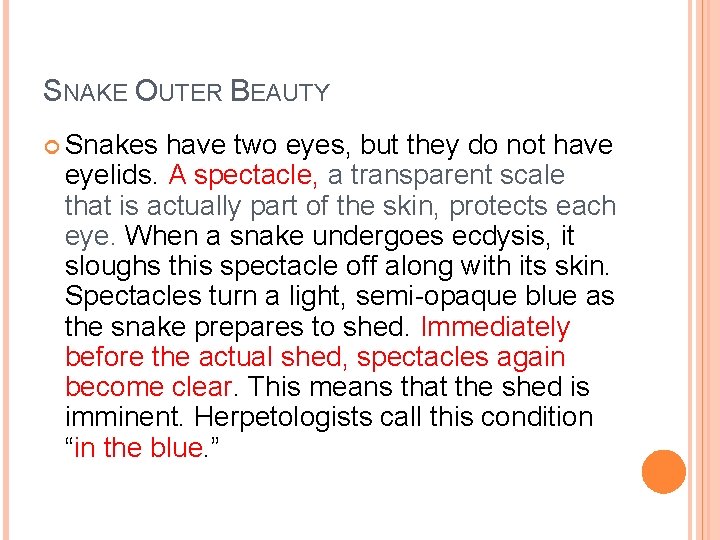 SNAKE OUTER BEAUTY Snakes have two eyes, but they do not have eyelids. A
