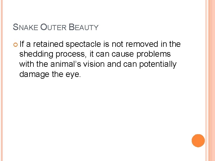 SNAKE OUTER BEAUTY If a retained spectacle is not removed in the shedding process,
