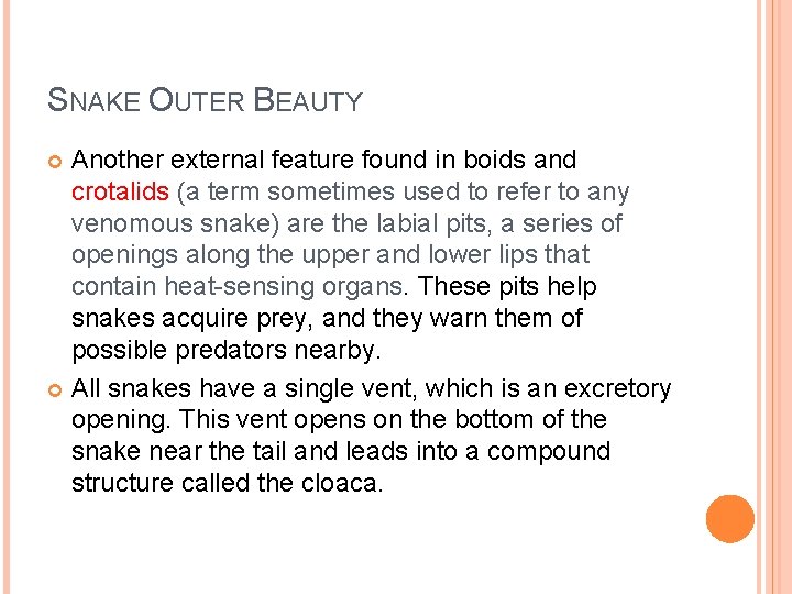 SNAKE OUTER BEAUTY Another external feature found in boids and crotalids (a term sometimes
