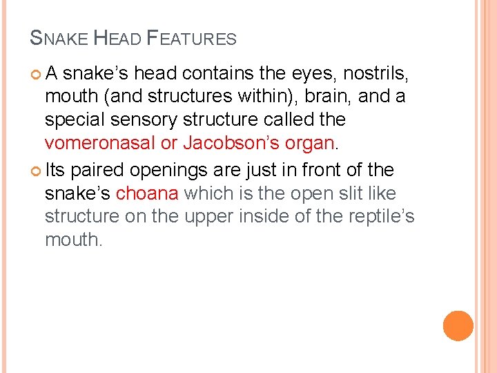 SNAKE HEAD FEATURES A snake’s head contains the eyes, nostrils, mouth (and structures within),