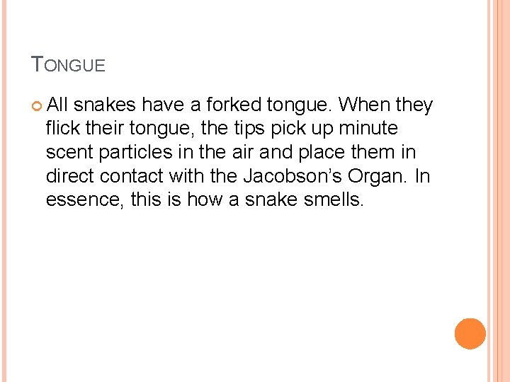 TONGUE All snakes have a forked tongue. When they flick their tongue, the tips