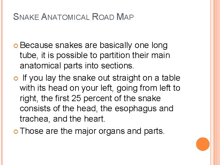 SNAKE ANATOMICAL ROAD MAP Because snakes are basically one long tube, it is possible