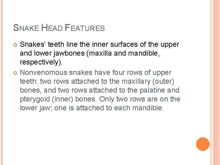 SNAKE HEAD FEATURES Snakes’ teeth line the inner surfaces of the upper and lower