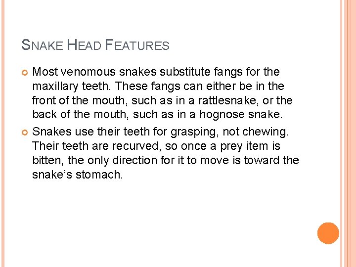 SNAKE HEAD FEATURES Most venomous snakes substitute fangs for the maxillary teeth. These fangs