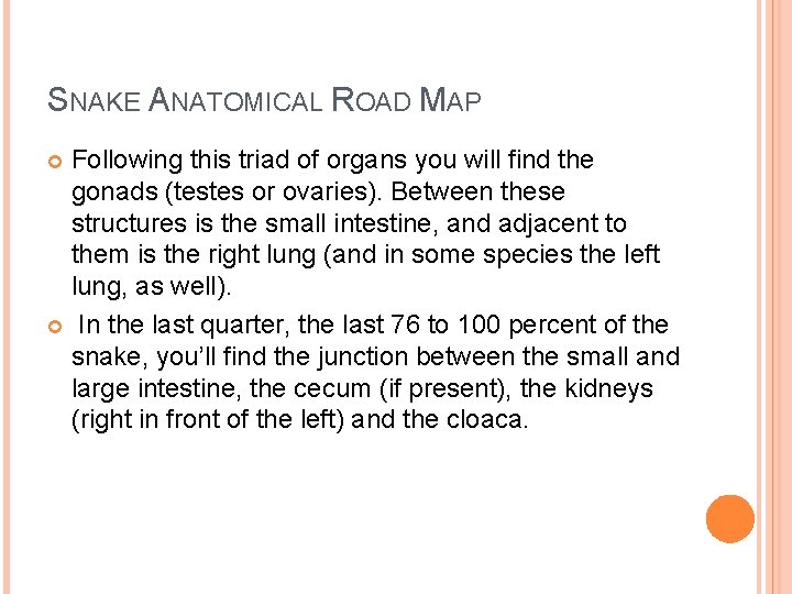 SNAKE ANATOMICAL ROAD MAP Following this triad of organs you will find the gonads