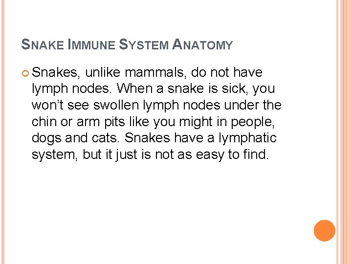 SNAKE IMMUNE SYSTEM ANATOMY Snakes, unlike mammals, do not have lymph nodes. When a