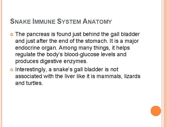 SNAKE IMMUNE SYSTEM ANATOMY The pancreas is found just behind the gall bladder and