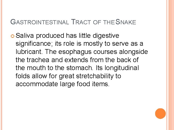 GASTROINTESTINAL TRACT OF THE SNAKE Saliva produced has little digestive significance; its role is