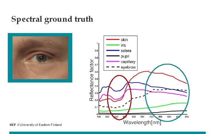 Spectral ground truth UEF // University of Eastern Finland 