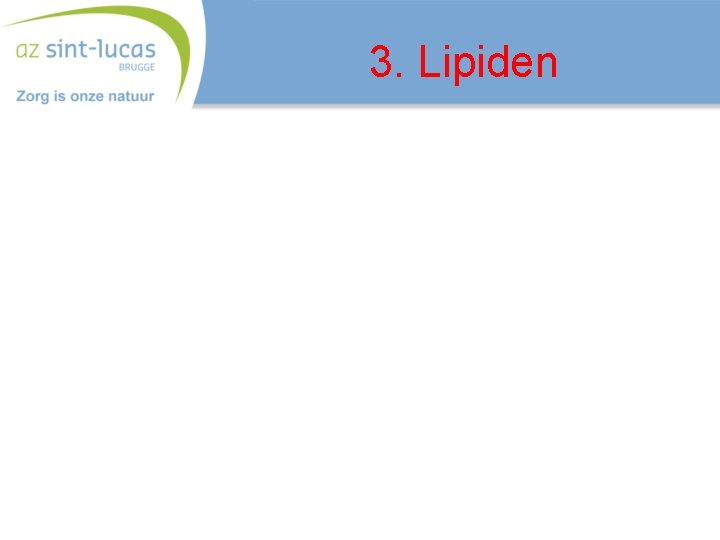 3. Lipiden 