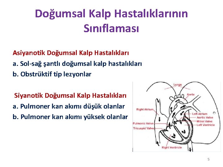 Doğumsal Kalp Hastalıklarının Sınıflaması Asiyanotik Doğumsal Kalp Hastalıkları a. Sol-sağ şantlı doğumsal kalp hastalıkları