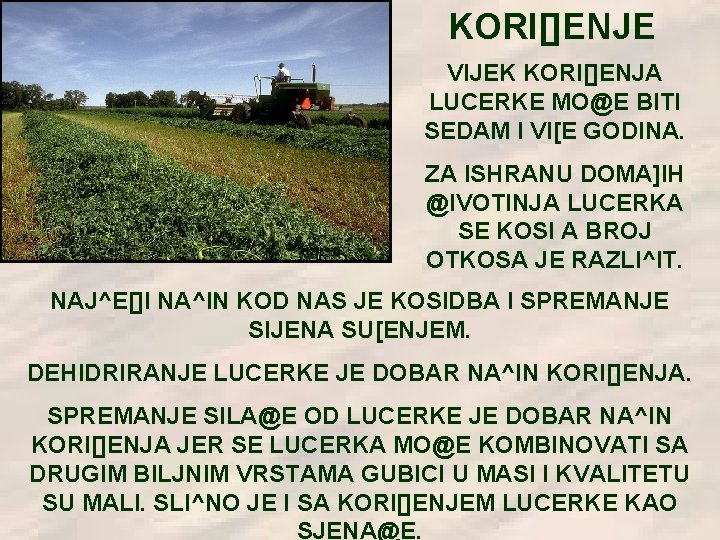 KORI[]ENJE VIJEK KORI[]ENJA LUCERKE MO@E BITI SEDAM I VI[E GODINA. ZA ISHRANU DOMA]IH @IVOTINJA