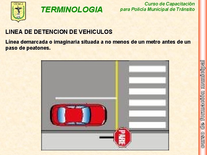 TERMINOLOGIA Curso de Capacitación para Policía Municipal de Tránsito LINEA DE DETENCION DE VEHICULOS