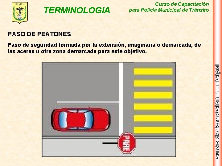 TERMINOLOGIA Curso de Capacitación para Policía Municipal de Tránsito PASO DE PEATONES Paso de