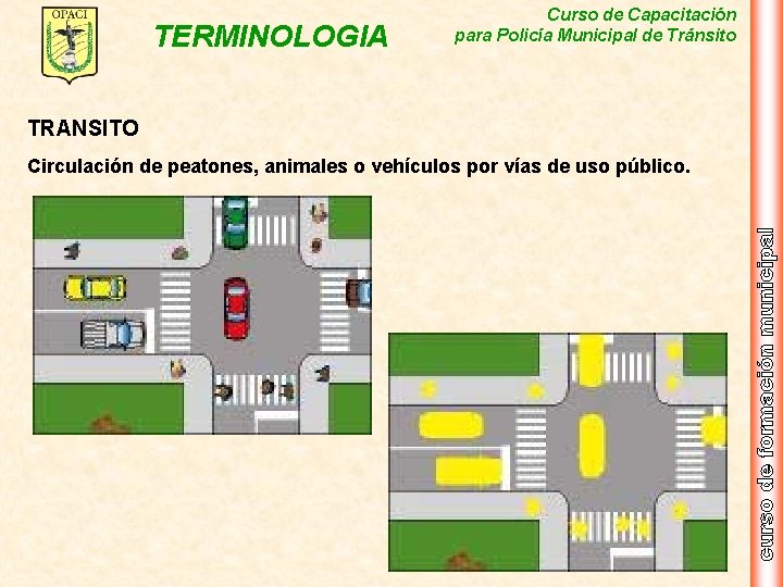 TERMINOLOGIA Curso de Capacitación para Policía Municipal de Tránsito TRANSITO Circulación de peatones, animales