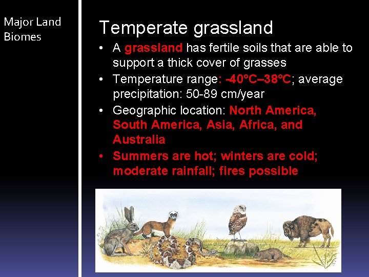 Major Land Biomes Temperate grassland • A grassland has fertile soils that are able Major Land Biomes Temperate grassland • A grassland has fertile soils that are able