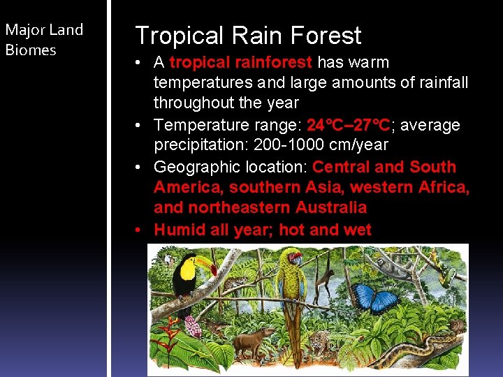 Major Land Biomes Tropical Rain Forest • A tropical rainforest has warm temperatures and Major Land Biomes Tropical Rain Forest • A tropical rainforest has warm temperatures and