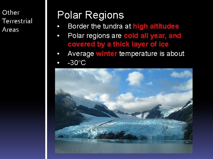 Other Terrestrial Areas Polar Regions • • Border the tundra at high altitudes Polar Other Terrestrial Areas Polar Regions • • Border the tundra at high altitudes Polar