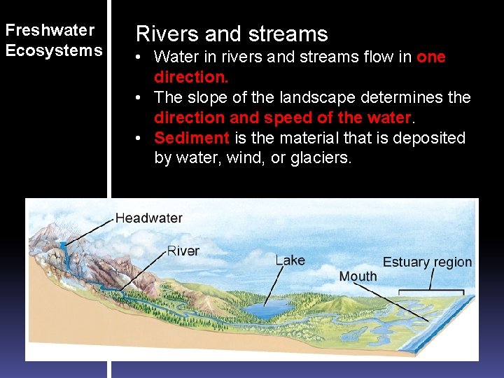 Freshwater Ecosystems Rivers and streams • Water in rivers and streams flow in one Freshwater Ecosystems Rivers and streams • Water in rivers and streams flow in one