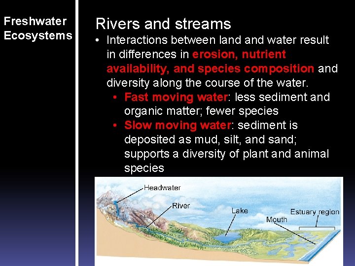 Freshwater Ecosystems Rivers and streams • Interactions between land water result in differences in Freshwater Ecosystems Rivers and streams • Interactions between land water result in differences in