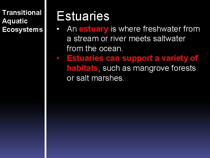 Transitional Aquatic Ecosystems Estuaries • An estuary is where freshwater from a stream or Transitional Aquatic Ecosystems Estuaries • An estuary is where freshwater from a stream or