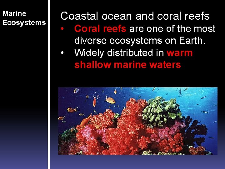Marine Ecosystems Coastal ocean and coral reefs • • Coral reefs are one of Marine Ecosystems Coastal ocean and coral reefs • • Coral reefs are one of