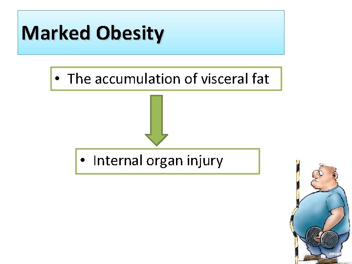 Marked Obesity • The accumulation of visceral fat • Internal organ injury 