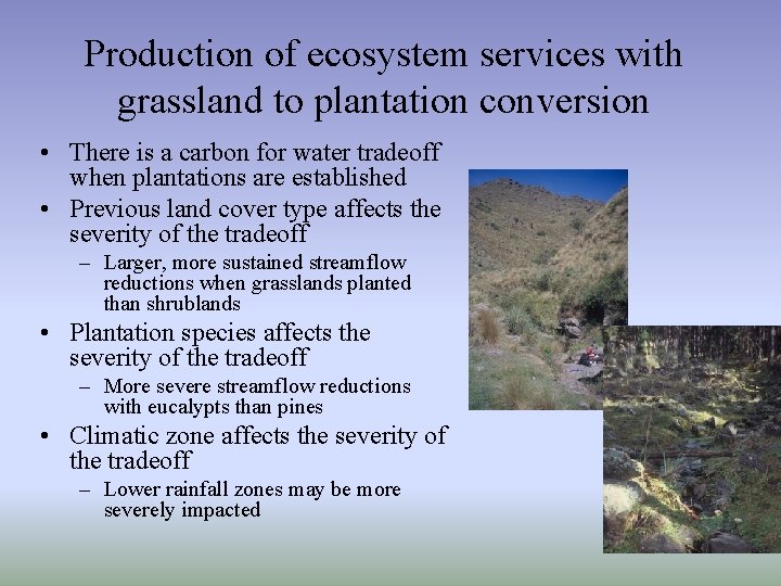 Production of ecosystem services with grassland to plantation conversion • There is a carbon