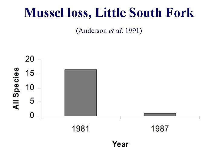 Mussel loss, Little South Fork (Anderson et al. 1991) 