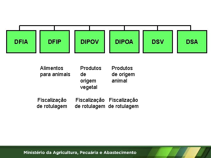 DFIA DFIP DIPOV DIPOA Alimentos para animais Produtos de origem vegetal Produtos de origem