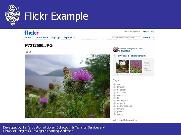 Flickr Example Developed by the Association of Library Collections & Technical Services and Library Flickr Example Developed by the Association of Library Collections & Technical Services and Library