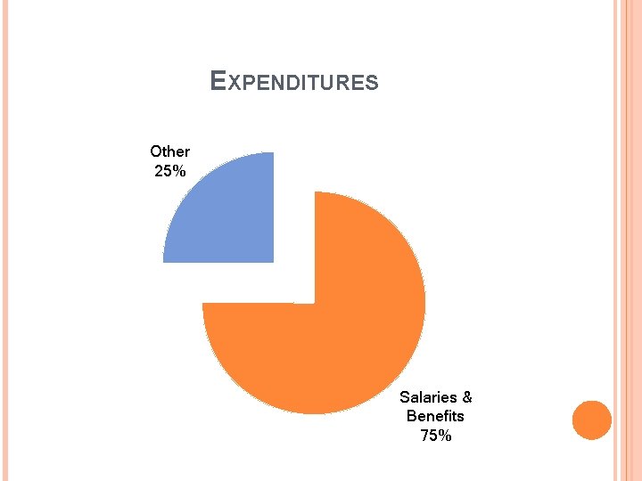 EXPENDITURES Other 25% Salaries & Benefits 75% 