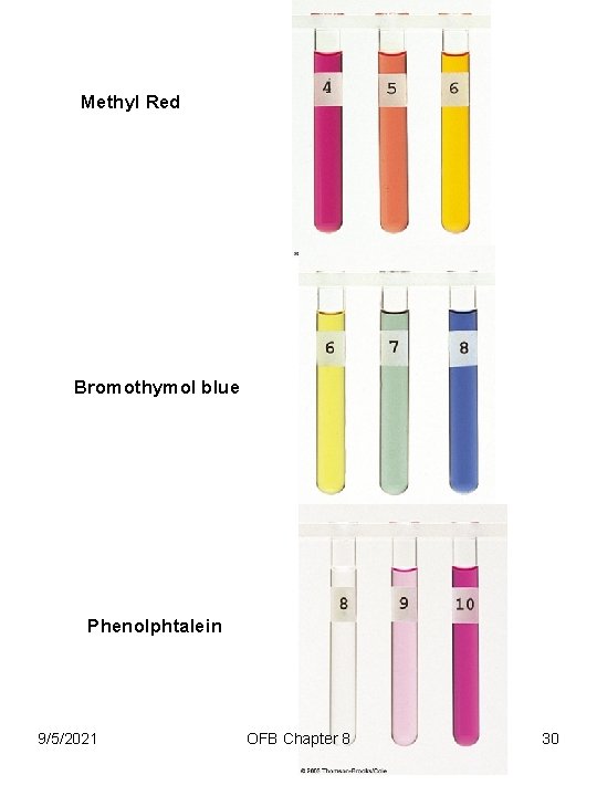 Methyl Red Bromothymol blue Phenolphtalein 9/5/2021 OFB Chapter 8 30 