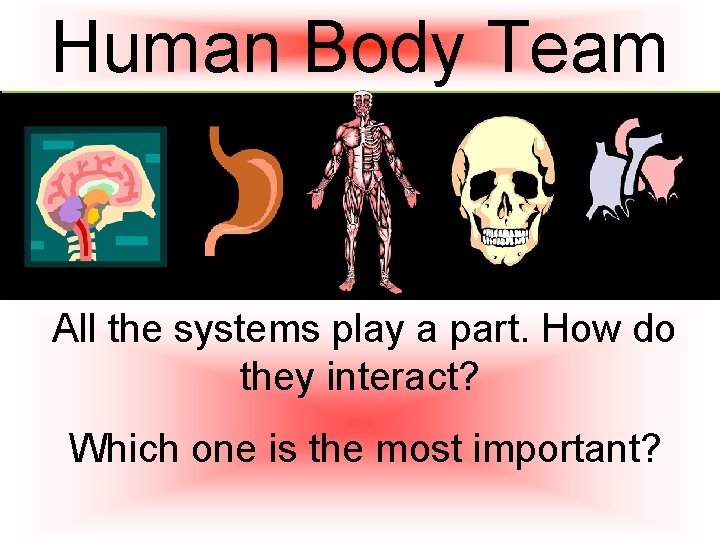 Human Body Team All the systems play a part. How do they interact? Which