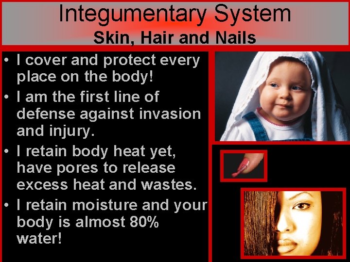 Integumentary System Skin, Hair and Nails • I cover and protect every place on