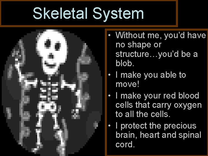 Skeletal System • Without me, you’d have no shape or structure…you’d be a blob.