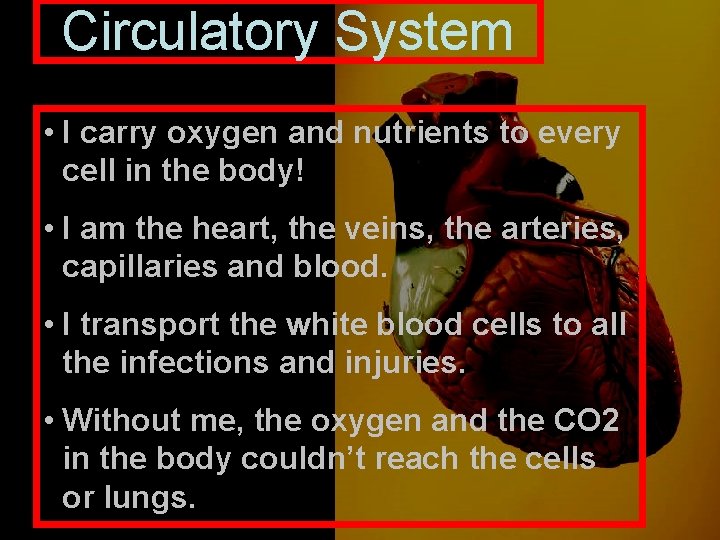 Circulatory System • I carry oxygen and nutrients to every cell in the body!