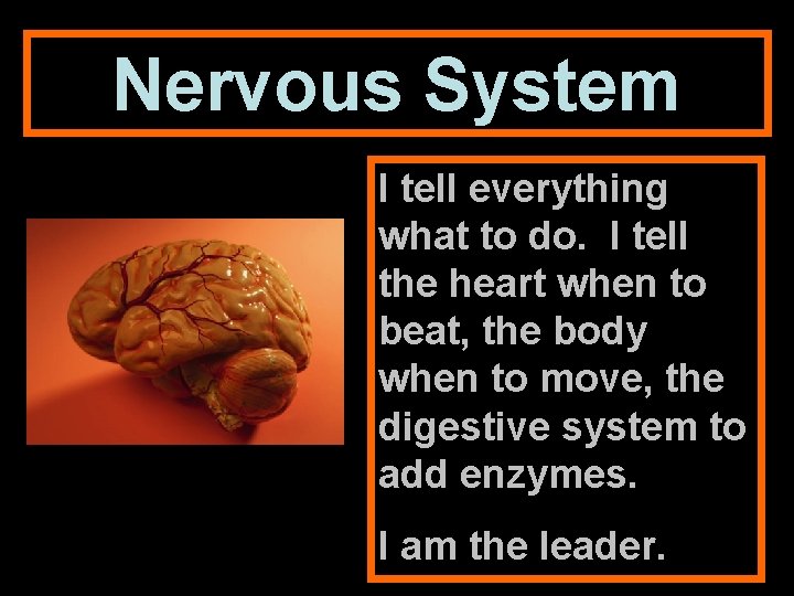 Nervous System I tell everything what to do. I tell the heart when to