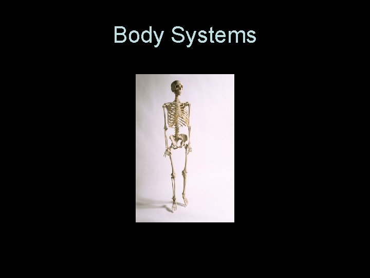 Body Systems 