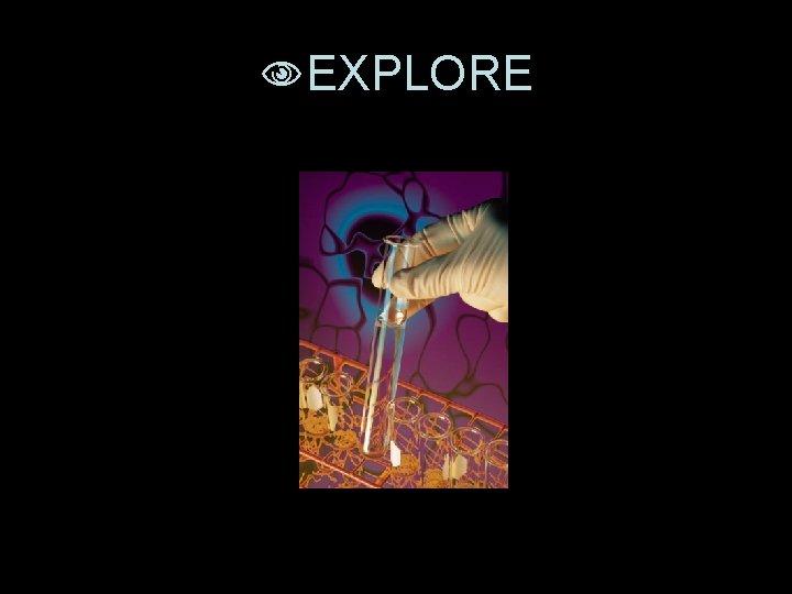  EXPLORE 