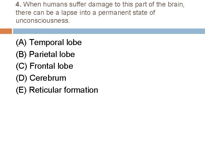 4. When humans suffer damage to this part of the brain, there can be