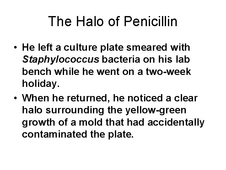 The Halo of Penicillin • He left a culture plate smeared with Staphylococcus bacteria