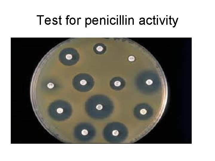 Test for penicillin activity 
