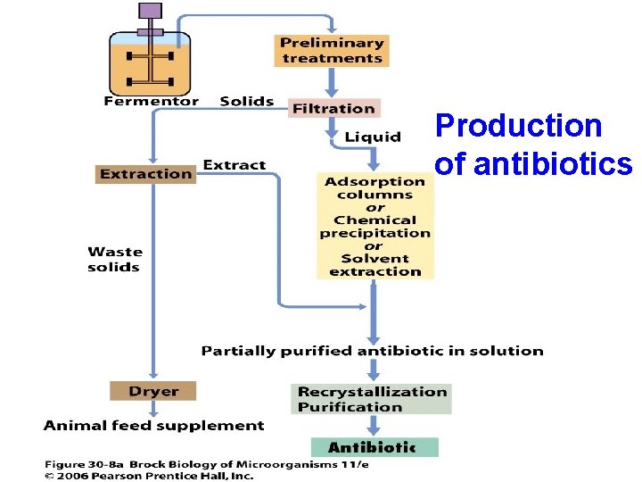 Production of antibiotics 