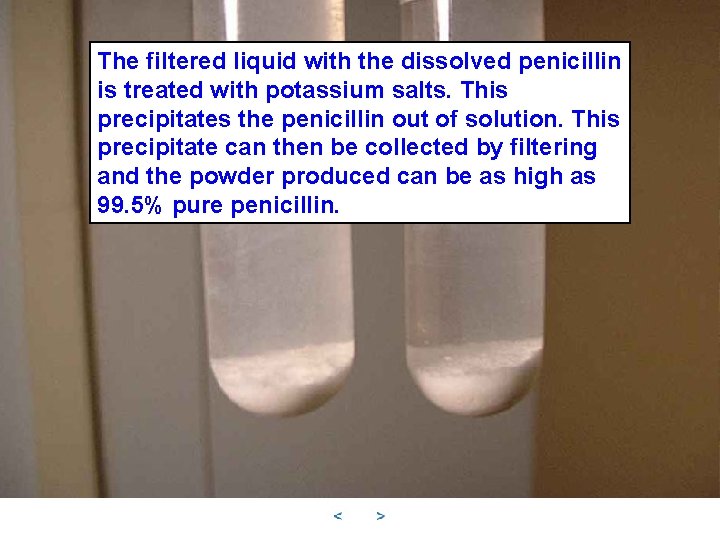 The filtered liquid with the dissolved penicillin is treated with potassium salts. This precipitates