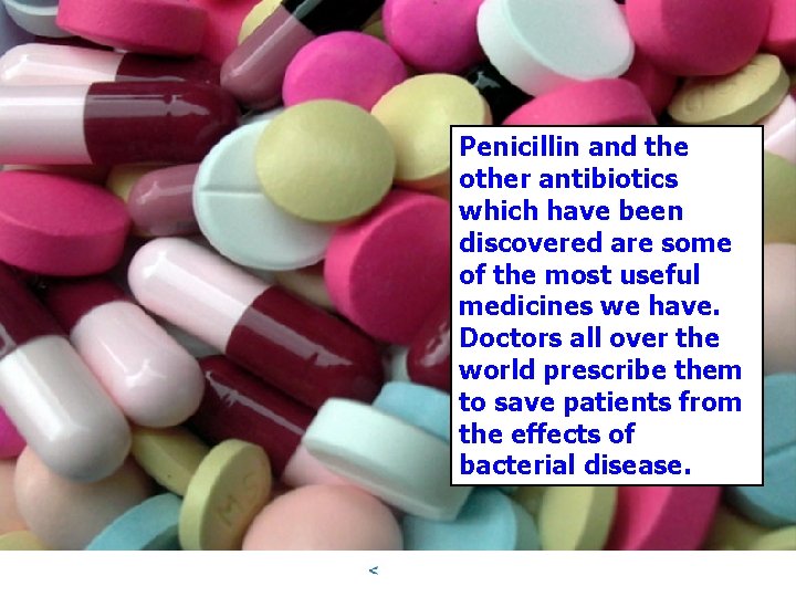 Penicillin and the other antibiotics which have been discovered are some of the most