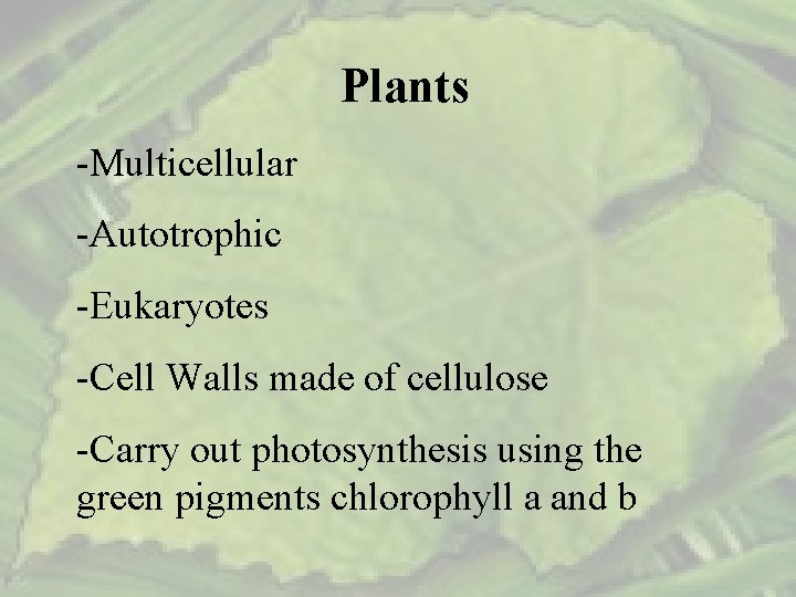 Plants Holly Springs High School Biology What is