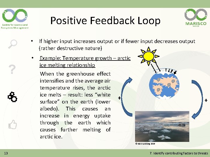 Positive Feedback Loop • If higher input increases output or if fewer input decreases